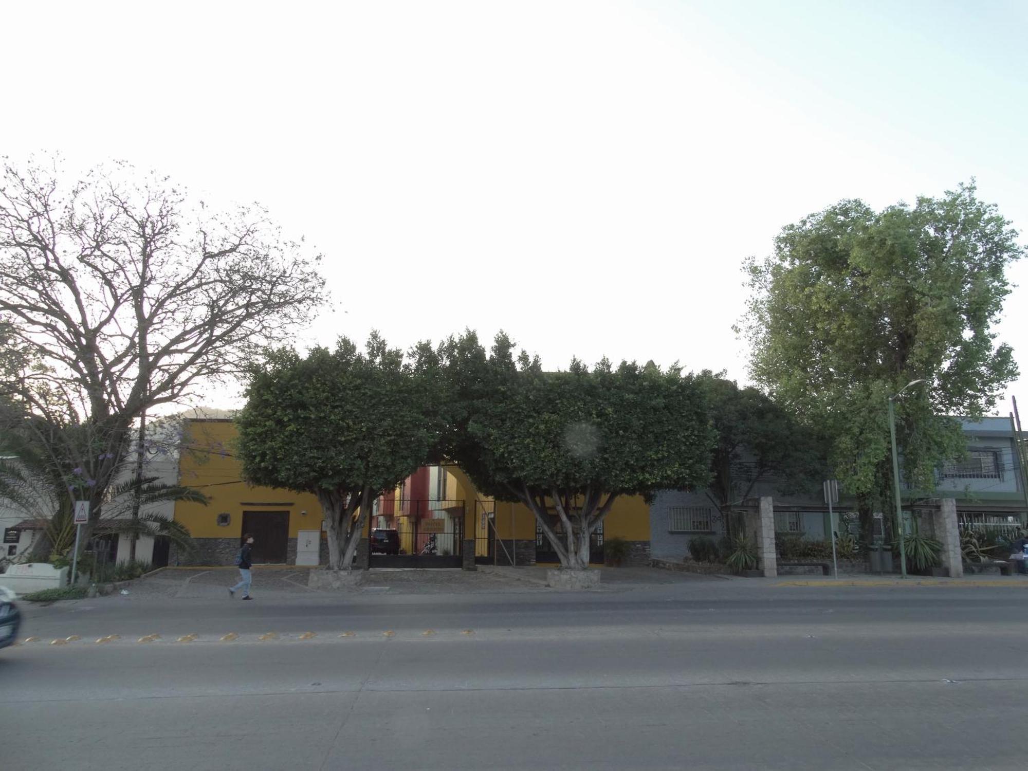 Hotel Camino De Allende San Miguel de Allende Eksteriør billede